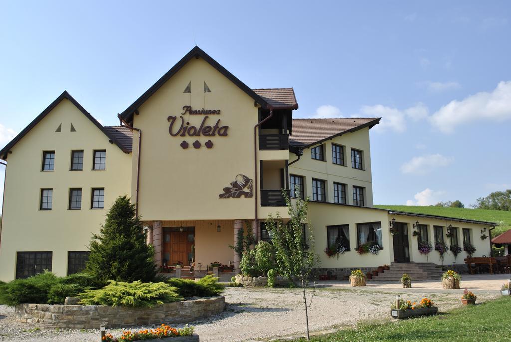 Pensiunea Violeta Saschiz Экстерьер фото